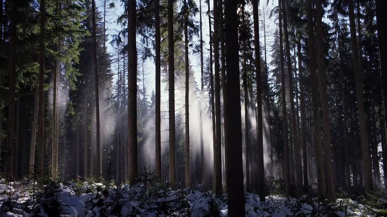 But Beautiful: Nichts existiert unabhängig | movie | 2019 | Official Teaser