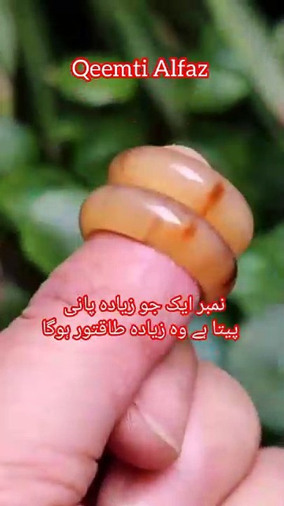 Zindgi k 10 hearat angeez raaz must watch