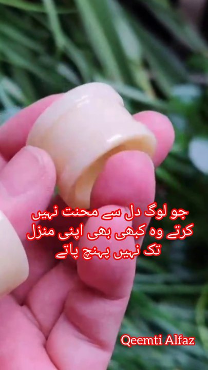 joo loog dil see mihnat nahi karte wo kabhi bhi apni manzil tak nahi pahunch paaty