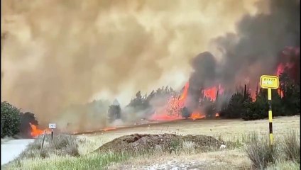 Footage captures thick smoke rising from blaze west of Jerusalem