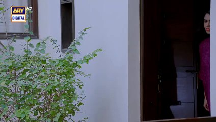 Naqaab EP 44 - Ali Ansari - Humayoun Ashraf - Hina Tariq - Ghana Ali - 30 April 2025