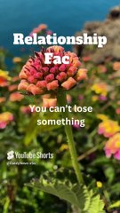 If You’ve Ever Loved Someone, Read This #RelationshipFacts #LoveTips #CoupleGoals #ToxicVsHealthy (1)