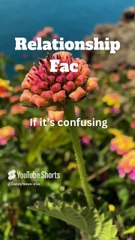 If You’ve Ever Loved Someone, Read This #RelationshipFacts #LoveTips #CoupleGoals #ToxicVsHealthy