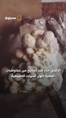 صندوق إعادة الإعمار .. واشنطن تدخل رسميًا في كنوز أوكرانيا الطبيعية