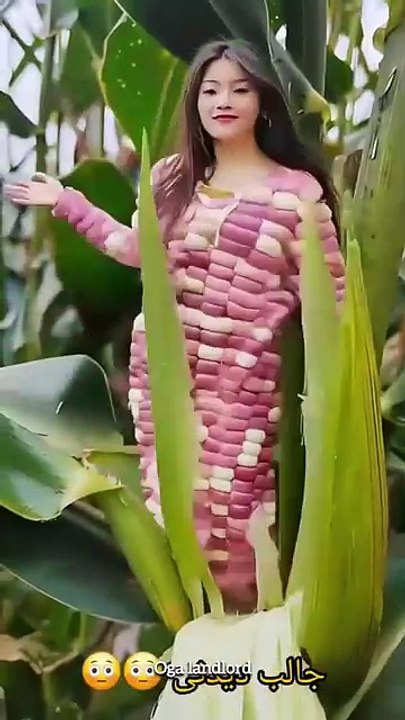 Funny video #bestfunnyvideo #topbestfunnyvideo #vi