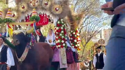 Cagliari, i mille colori della processione di Sant'Efisio