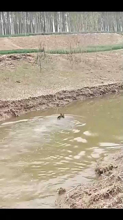 Hide and seek
