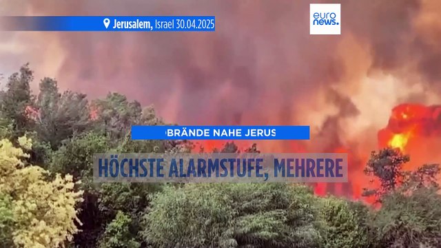 Waldbrände nahe Jerusalem: Maximale Alarmstufe, 12 Menschen verletzt