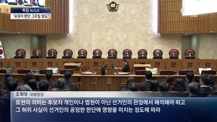 “유권자 판단 그르칠 정도로 허위 발언”