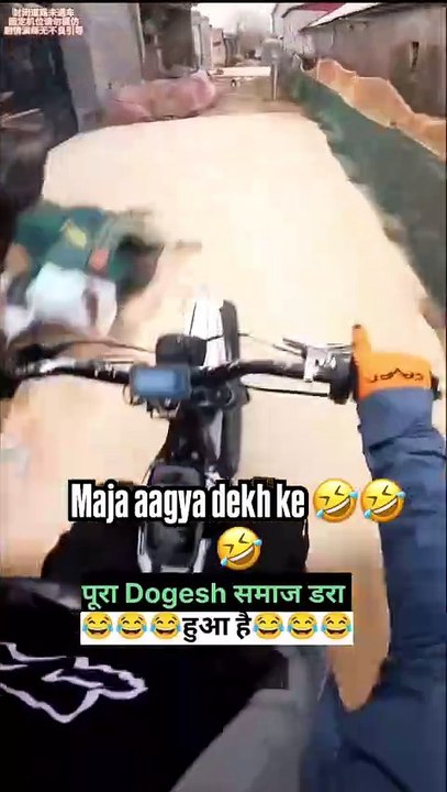 Chase dog 🐕🐶