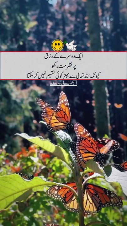 Allah pak se behter koi taqseem nahi kr sakta| #allah #viral #trending #foryou #SabrAurShukar #IslamicReminders