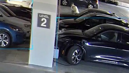 Une démocrate enveloppe la voiture d’un opposant républicain