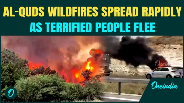 Israeli Wildfires' Most Disturbing Moments: Fires Engulfs Highway as Hundreds of Cars Pass Through
