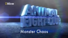 Animal Fight Club - S3E3 Monster Mayhem