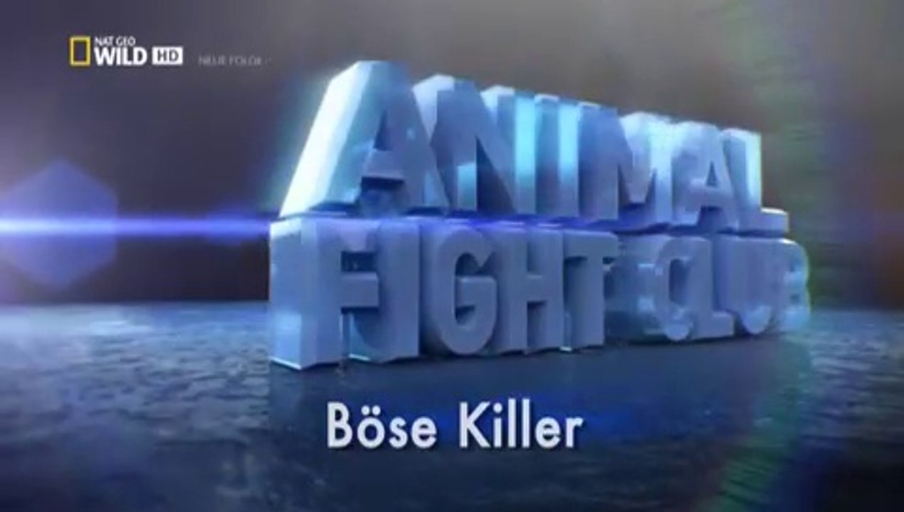 Animal Fight Club - S3E5  Killer Clashes