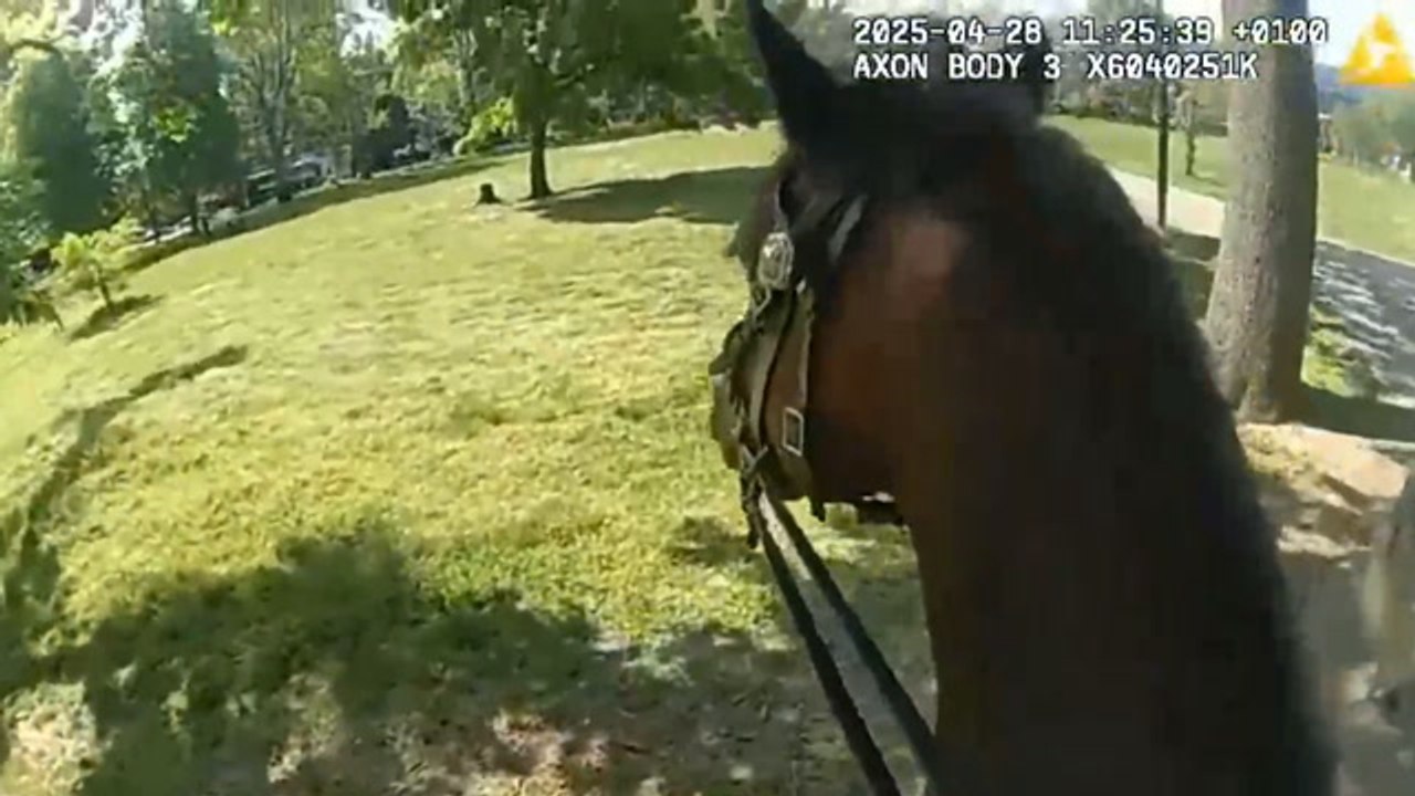 Watch moment two Met Police horses are attacked while out on patrol