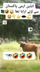 انڈین ارمی ایک گائے 🐄 سے ڈرگیا 🕳️👉🤣🤣🐄 _facebookreel _Pakistan _saudiarab _shere _funnyvideos _v