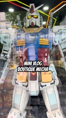 MINI VLOG BOUTIQUE MÉCHA A PARIS !