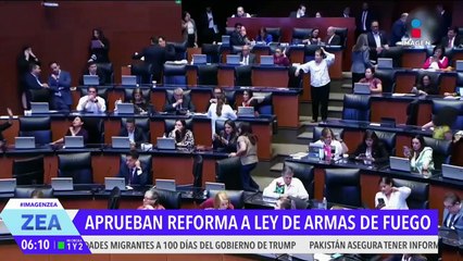 El Senado aprueba reforma a la Ley Federal de Armas de Fuego y Explosivos