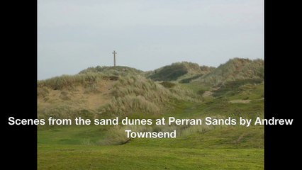 Scenes from the sand dunes at Perran Sands in Cornwall by Andrew Townsend