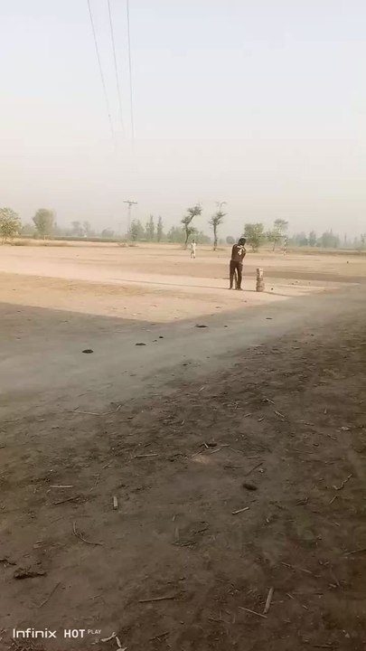 cricket lover