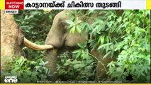 മലപ്പുറത്ത് പരിക്കേറ്റ ആനക്ക് ചികിത്സ തുടങ്ങി