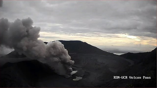 bd-protejase-de-la-ceniza-010525