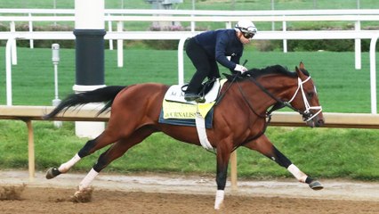 Expert Picks and Insights for the Kentucky Derby on Saturday