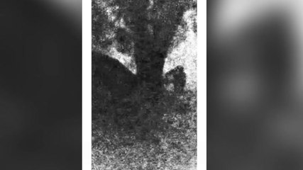 Watch full video shown at Sycamore Gap trial ‘showing tree being chopped down’