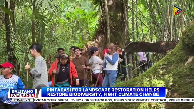 Pintakasi for landscape restoration helps restore biodiversity, fight climate change