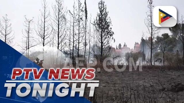 Over 100 firefighting teams battle Jerusalem hills wildfire