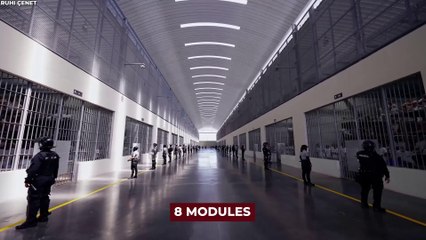 Battle of the Super Prisons CECOT vs. Russia’s Infamous Black Dolphin