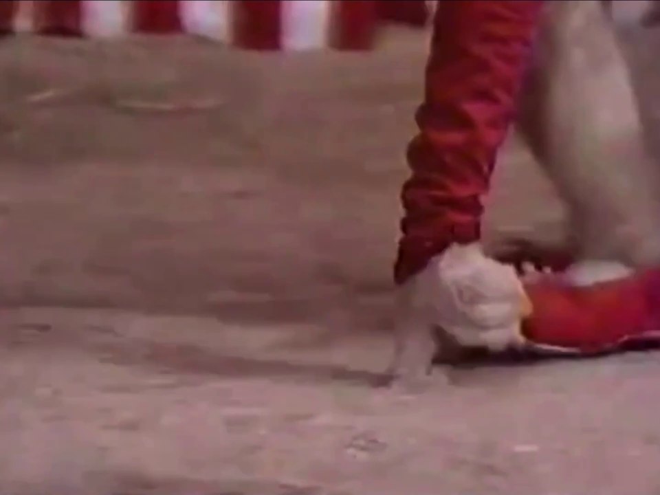 Behind The Amazing Scenes: 10 Years Of “Dumbo’s Circus”: Scene #1