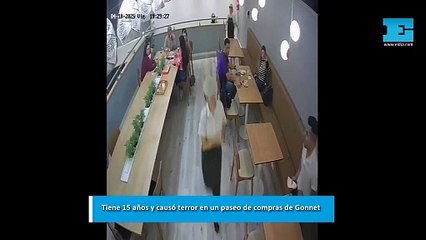 Tiene 15 años, un frondoso prontuario y causó terror en un paseo comercial de Gonnet: preso