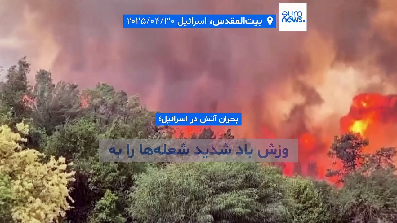آتش‌سوزی گسترده در اسرائیل؛ وزش باد شدید شعله‌ها را به اطراف بیت‌ المقدس رساند