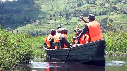Grey Crowned Cranes return to Rwanda thanks to conservation efforts