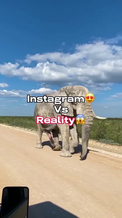 Insta vs Reality😱 travel explore nature reality