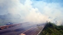 Incêndio em vegetação zera visibilidade na PRc-467, em Cascavel