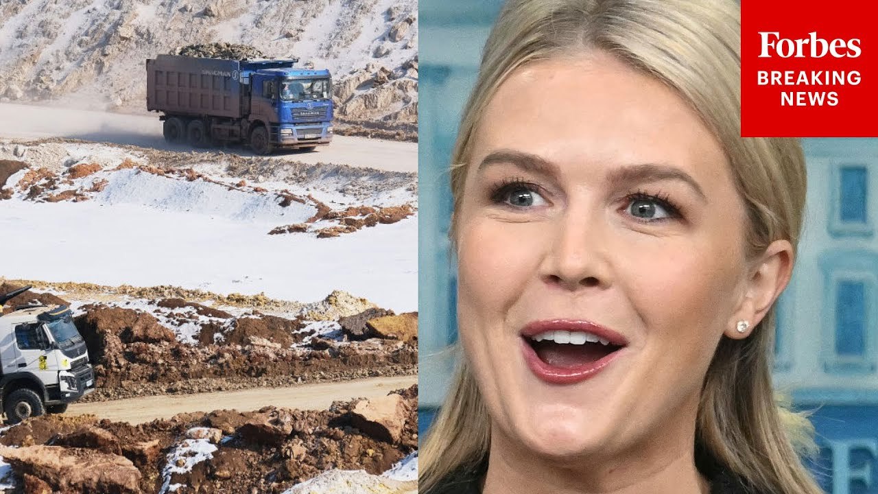 Karoline Leavitt Touts 'First Of Its Kind Economic Partnership' US-Ukraine Minerals Deal While Praising Trump