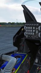 Eagle and Harpoon Fly #eagle #harpoon #f16 #f16fightingfalcon #airforce #dcs #turkishairforce #f16viper #fy #viper #digitalcombatsimulator