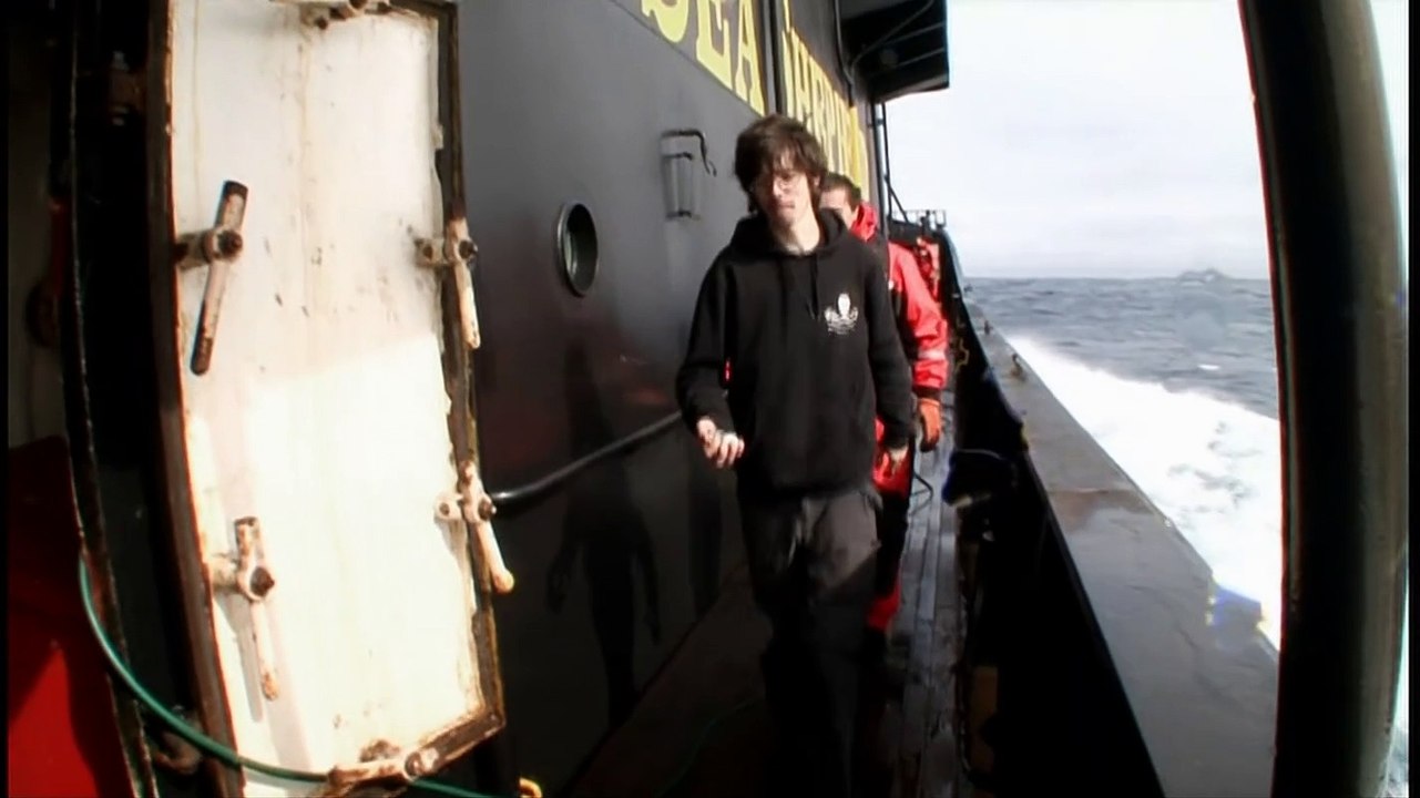 Whale Wars S02e07 Vom Jäger Zum Gejagten