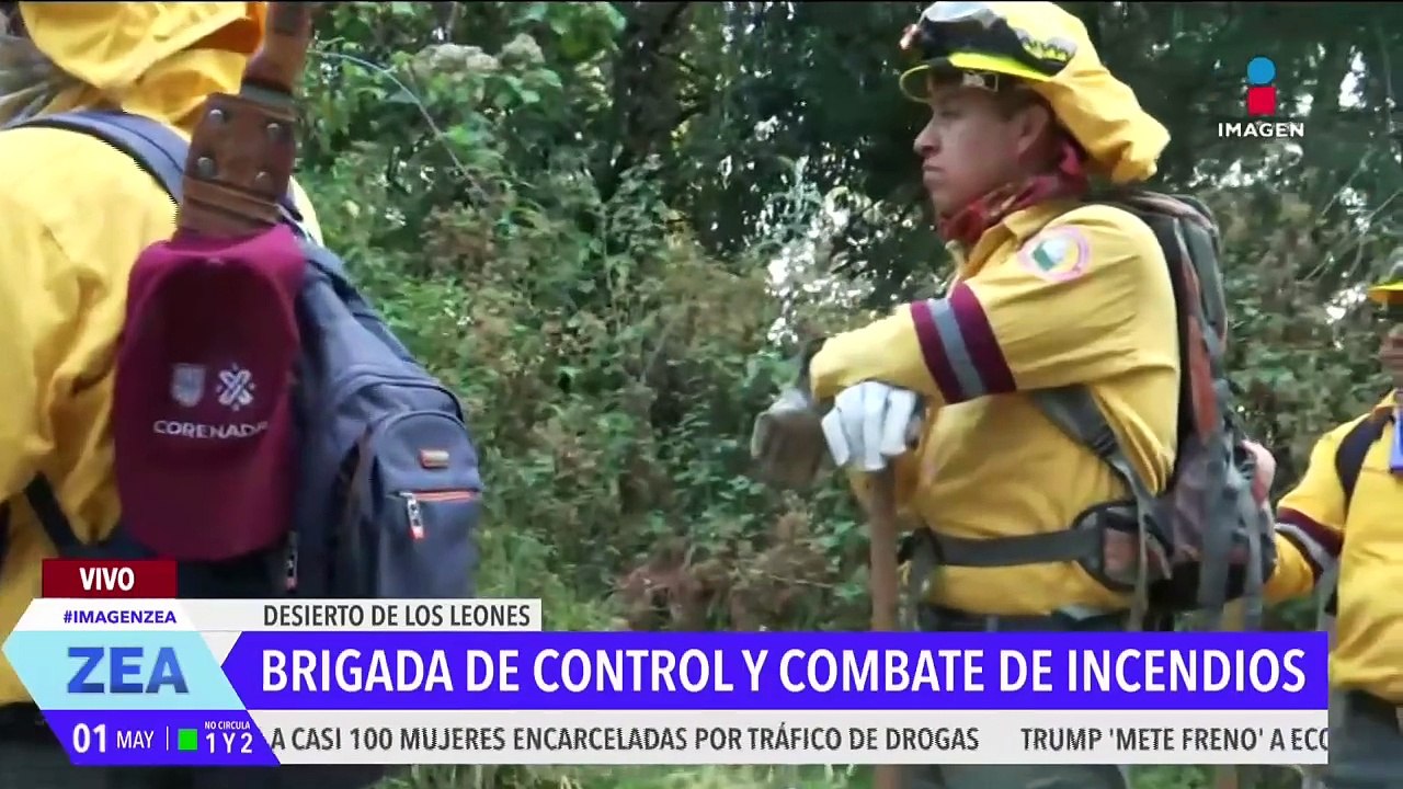 La Brigada de Control y Combate de Incendios Forestales vigila el Desierto de los Leones