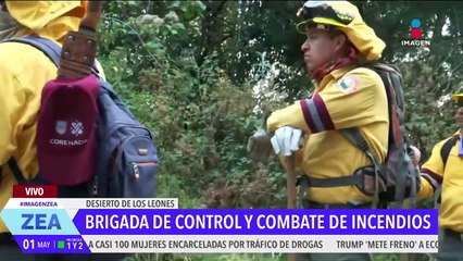 La Brigada de Control y Combate de Incendios Forestales vigila el Desierto de los Leones
