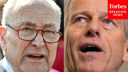 'Don't Complain About Them': Chuck Schumer Tears Into Republicans, Says They 'Own' Trump's Tariffs