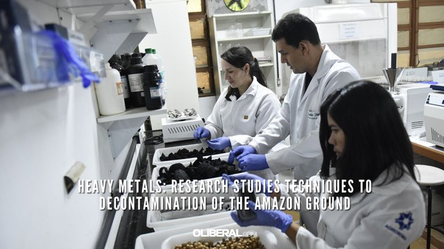 Heavy metals: research studies techniques to decontamination of the Amazon ground