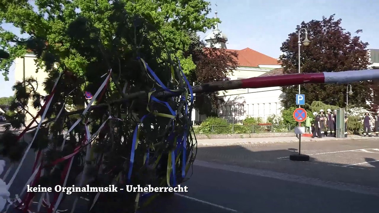Leopoldsdorf Marchfeld Maibaumaufstellen 2025 und Feuerwehr Leistungsschau