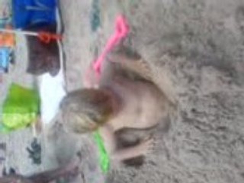 stecyy a enteré son frere =pP