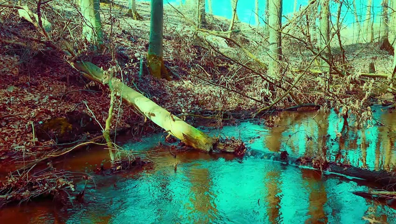 Discover the best nature sounds for relaxing with the crystal clear sound of water in amazing 4K quality! This video will take you to a peaceful place by a clear stream or lake, where the gentle murmur of water will calm your mind and help you relax. Feel