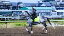 Top Picks and Odds for the Upcoming Kentucky Derby