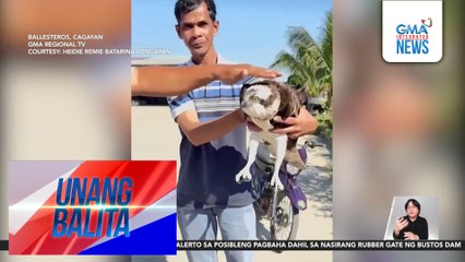 Agilang sumabit sa trap sa isang palaisdaan, nasagip | Unang Balita